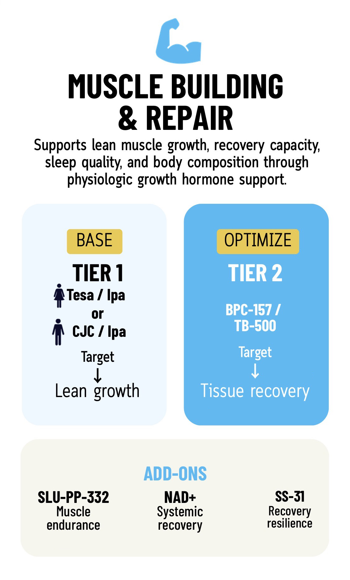 Muscle building & repair