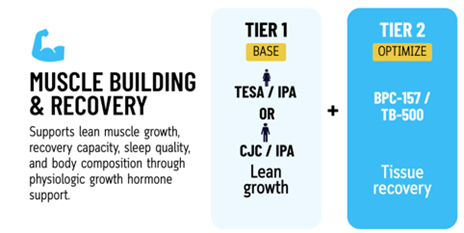 Muscle building & recovery